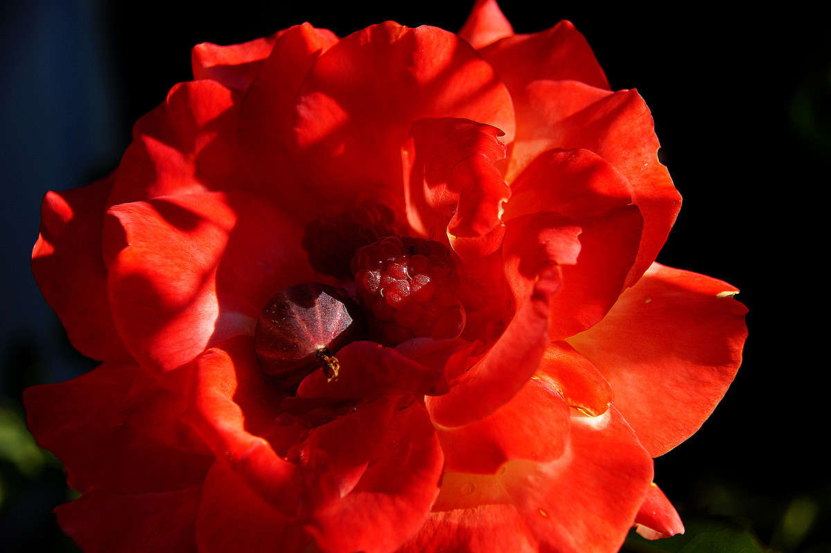 ��������� ����� �������  �� PhotoGeek.ru #������ ��� �������