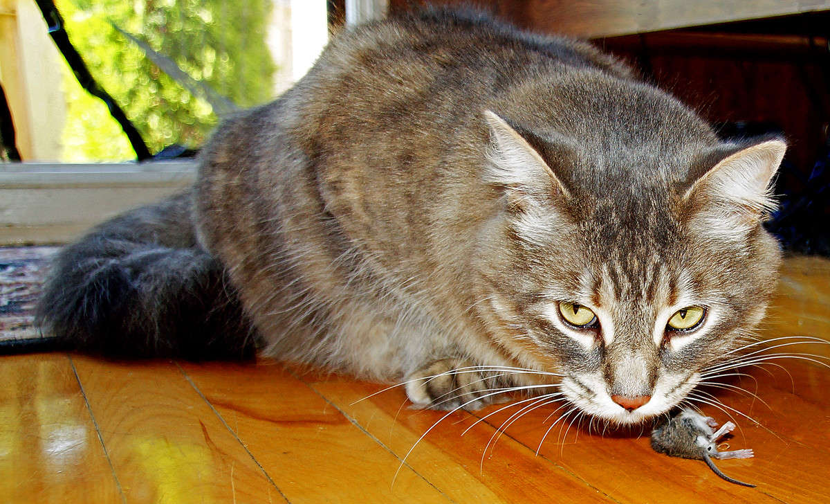 � ����� �� � ����� ������ ������� ����� �������  �� PhotoGeek.ru #�������� ���