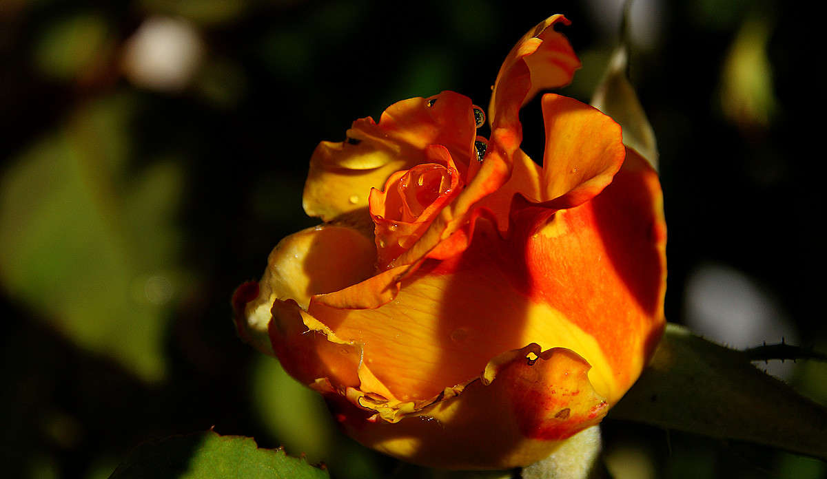 ����� ����� �������  �� PhotoGeek.ru #������ ��� �������