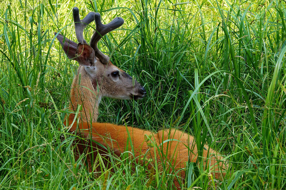 �������� ������ ���� ����� �������  �� PhotoGeek.ru #�������� ���