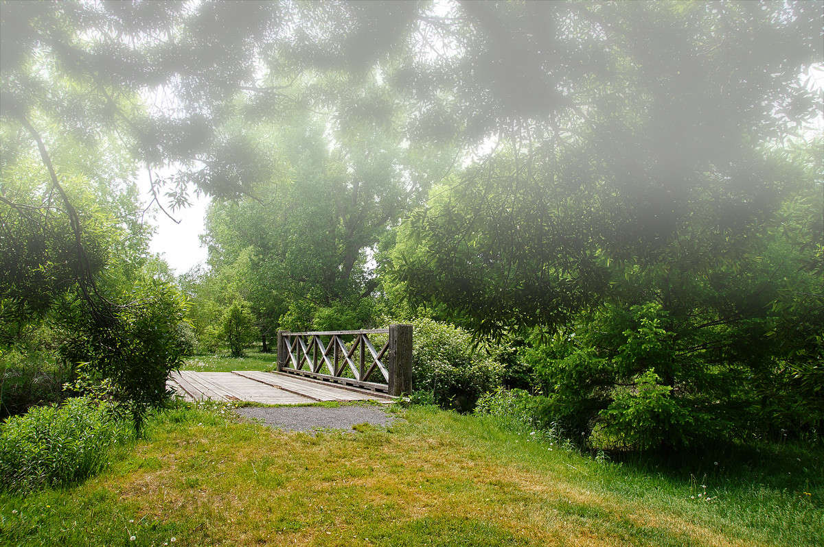 ������ ����� ����� �������  �� PhotoGeek.ru #������ ��� �������