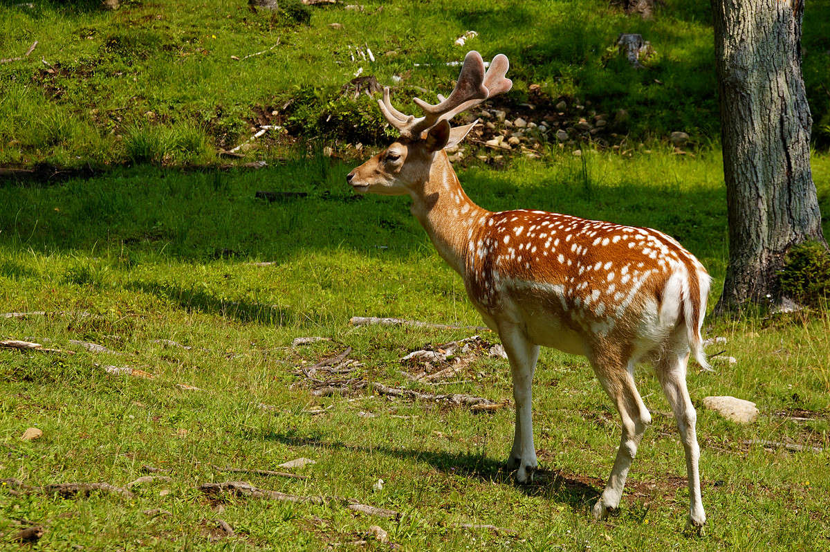 ������ ���� ����� �������  �� PhotoGeek.ru #�������� ���