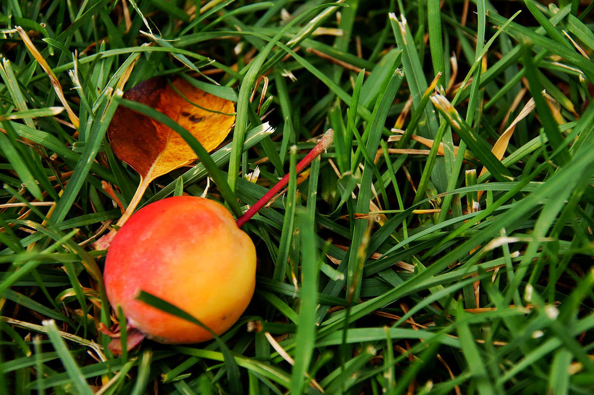 �� �� ����� �� �������? ����� �������  �� PhotoGeek.ru #������ ��� �������