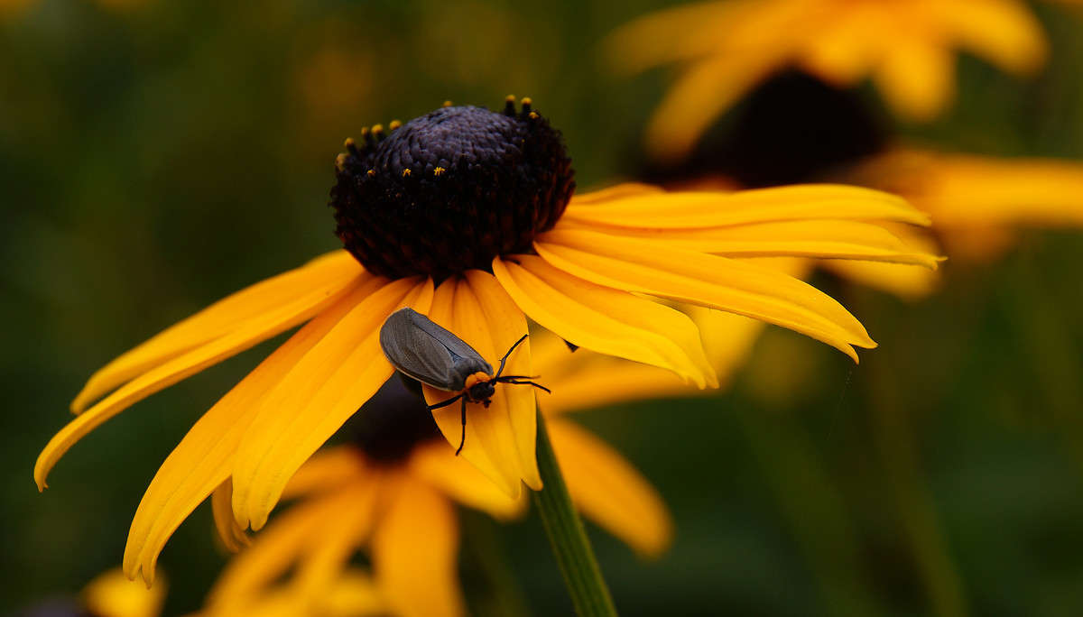 ���� �������� ����� �������  �� PhotoGeek.ru #�������� ��� #������ ��� �������