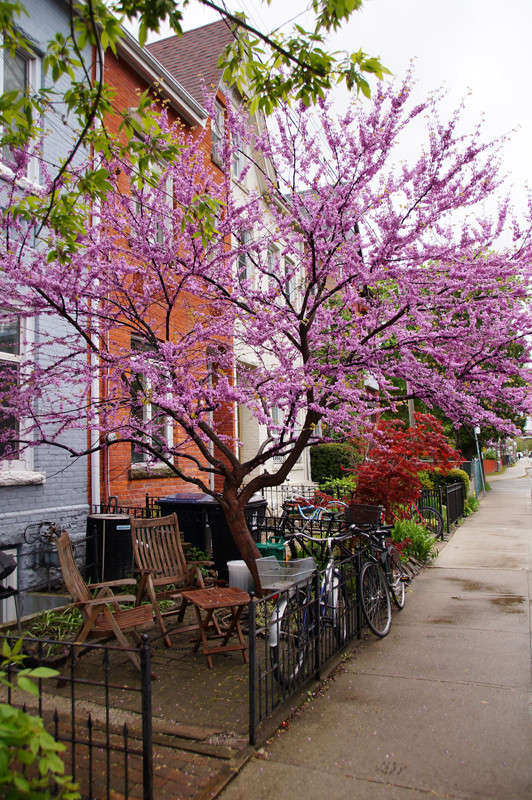 ����� ������ ����� �������  �� PhotoGeek.ru #�����