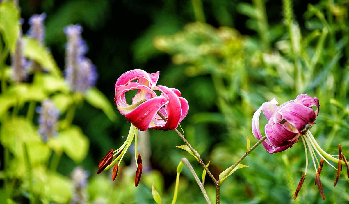 ���� ��������� ����� �������  �� PhotoGeek.ru #������ ��� �������