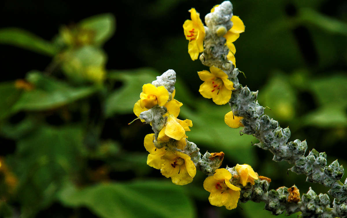 ��������� ����� �������  �� PhotoGeek.ru #������ ��� �������