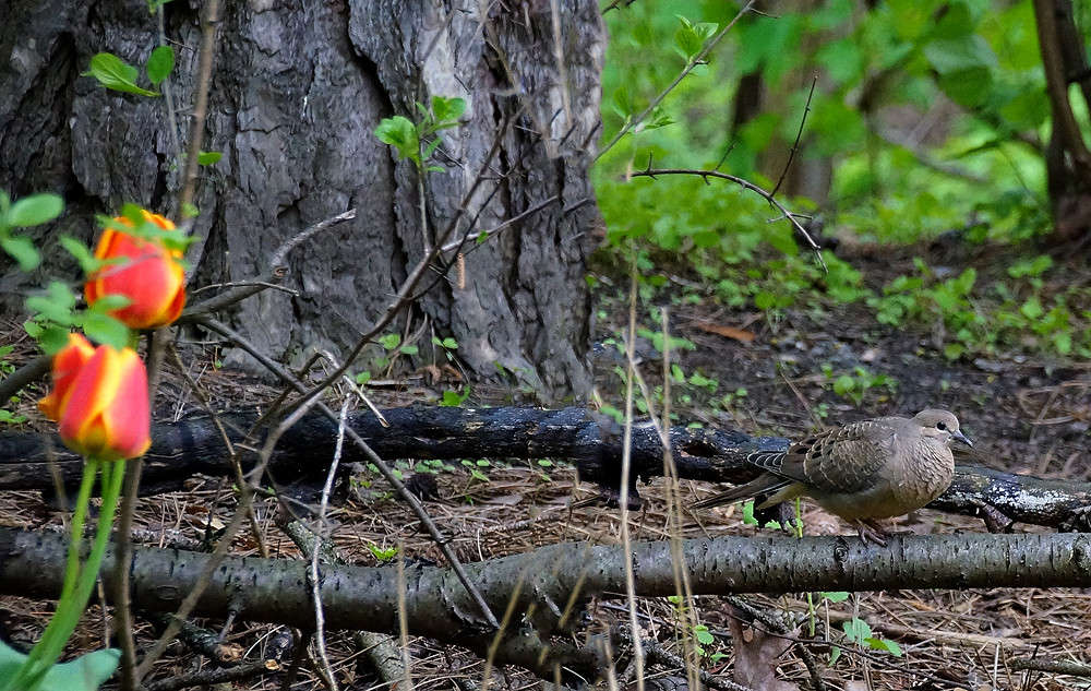 �� �� ��������� ����� �������  �� PhotoGeek.ru #�������� ��� #������ ��� �������