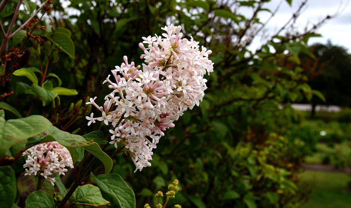 ��� � �������� ������� ����� �������  �� PhotoGeek.ru #������ ��� �������