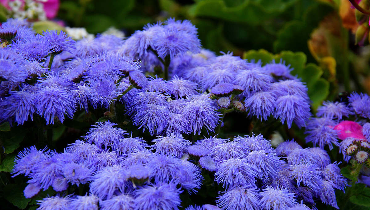 �� ����� ������� ����� �������  �� PhotoGeek.ru #������ ��� �������