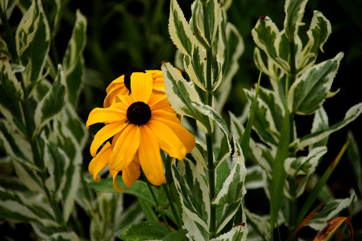 ������������ ����� ����� �������  �� PhotoGeek.ru #������ ��� �������