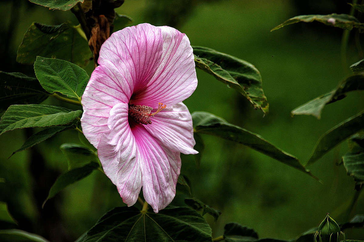 �������������� ����� �������  �� PhotoGeek.ru #�������� ���