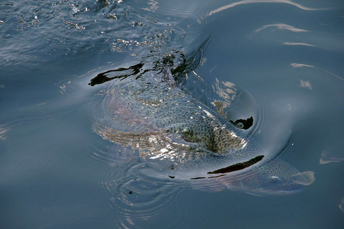 ��� ���� � ���� ����� �������  �� PhotoGeek.ru #�������� ���