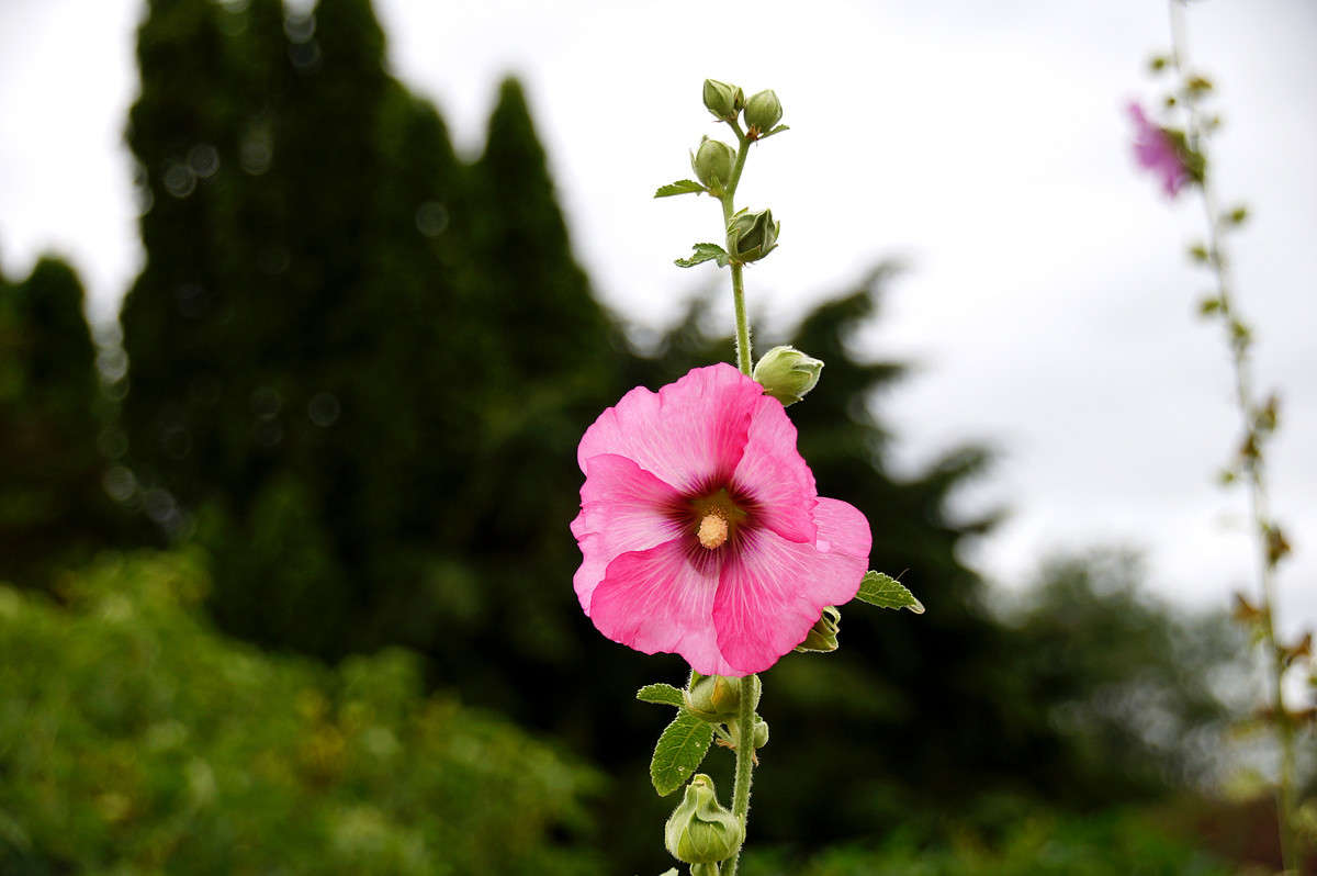 ������� ����� �������  �� PhotoGeek.ru #������ ��� �������