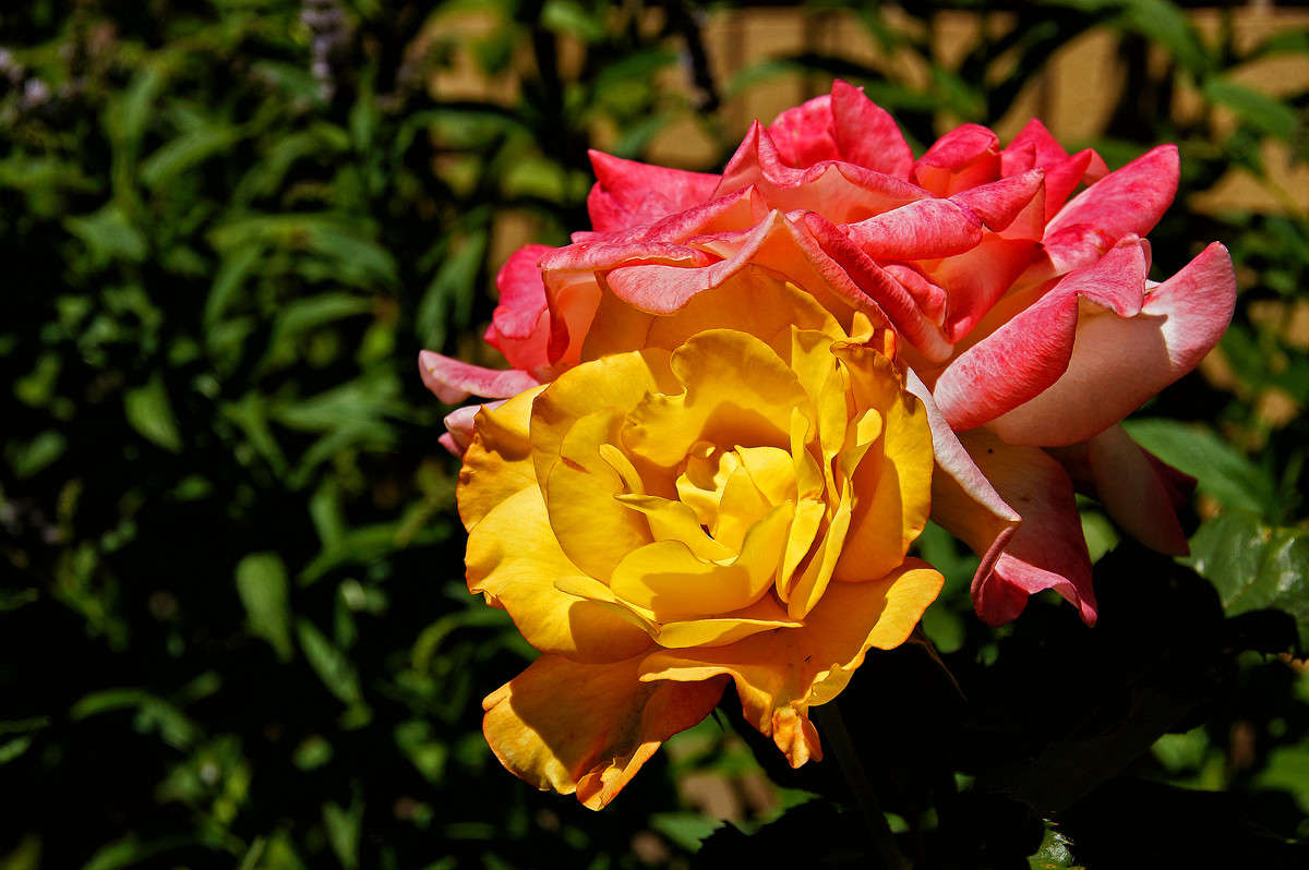 ���������� ����� �������  �� PhotoGeek.ru #������ ��� �������