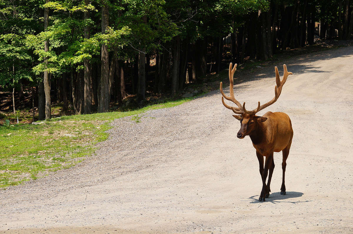 ������, ������� �� �������� ����� �������  �� PhotoGeek.ru #�������� ��� #������ ��� �������