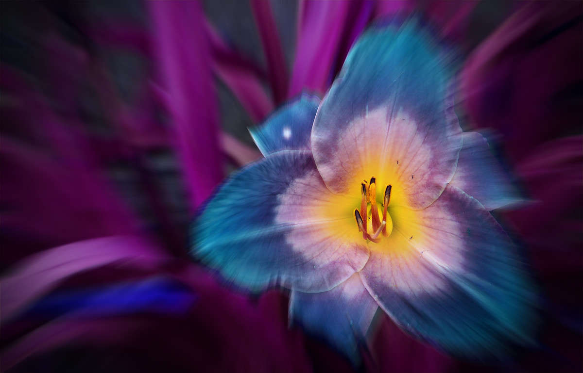 ����������� ������� ����� �������  �� PhotoGeek.ru #������ ��� �������