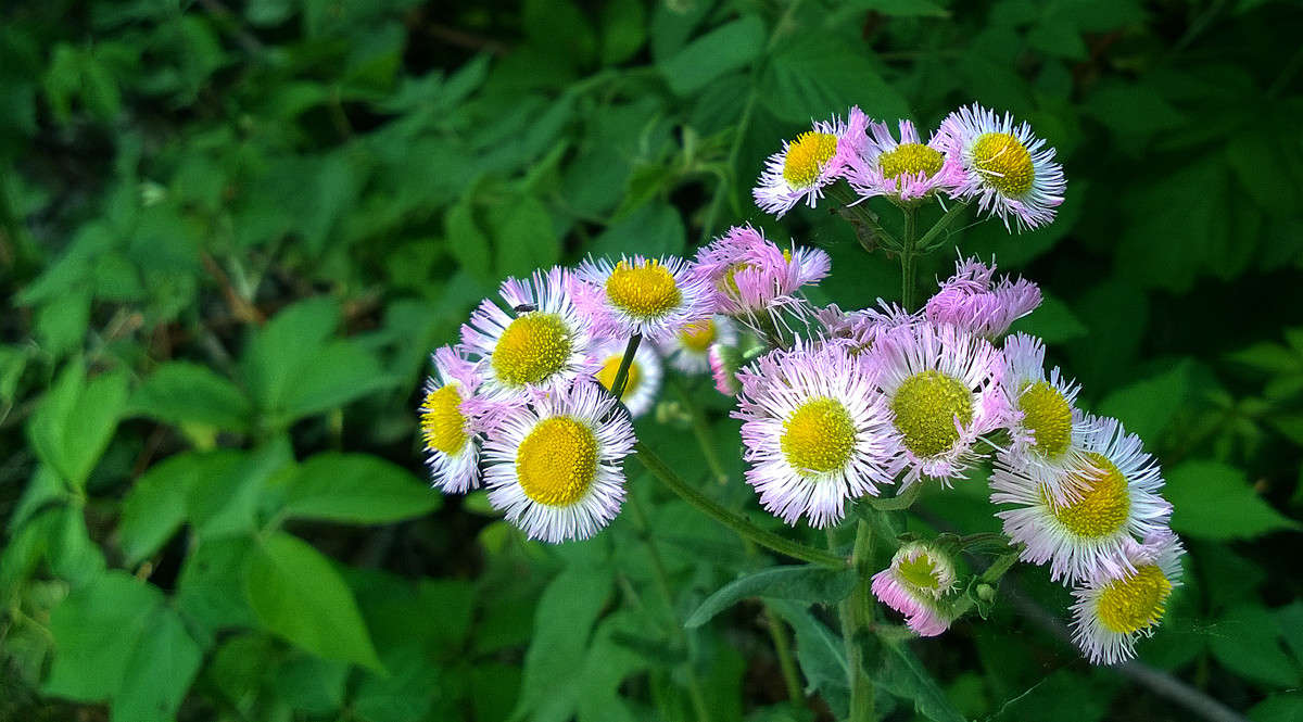 ������� ������� ����� �������  �� PhotoGeek.ru #������ ��� �������