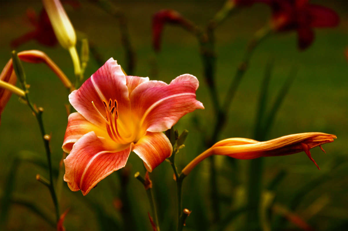 �������� ����� �������  �� PhotoGeek.ru #������ ��� �������