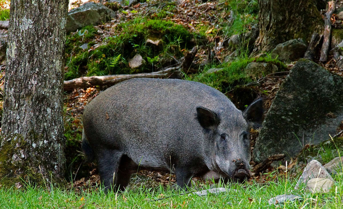 �������� ����� �������  �� PhotoGeek.ru #�������� ���