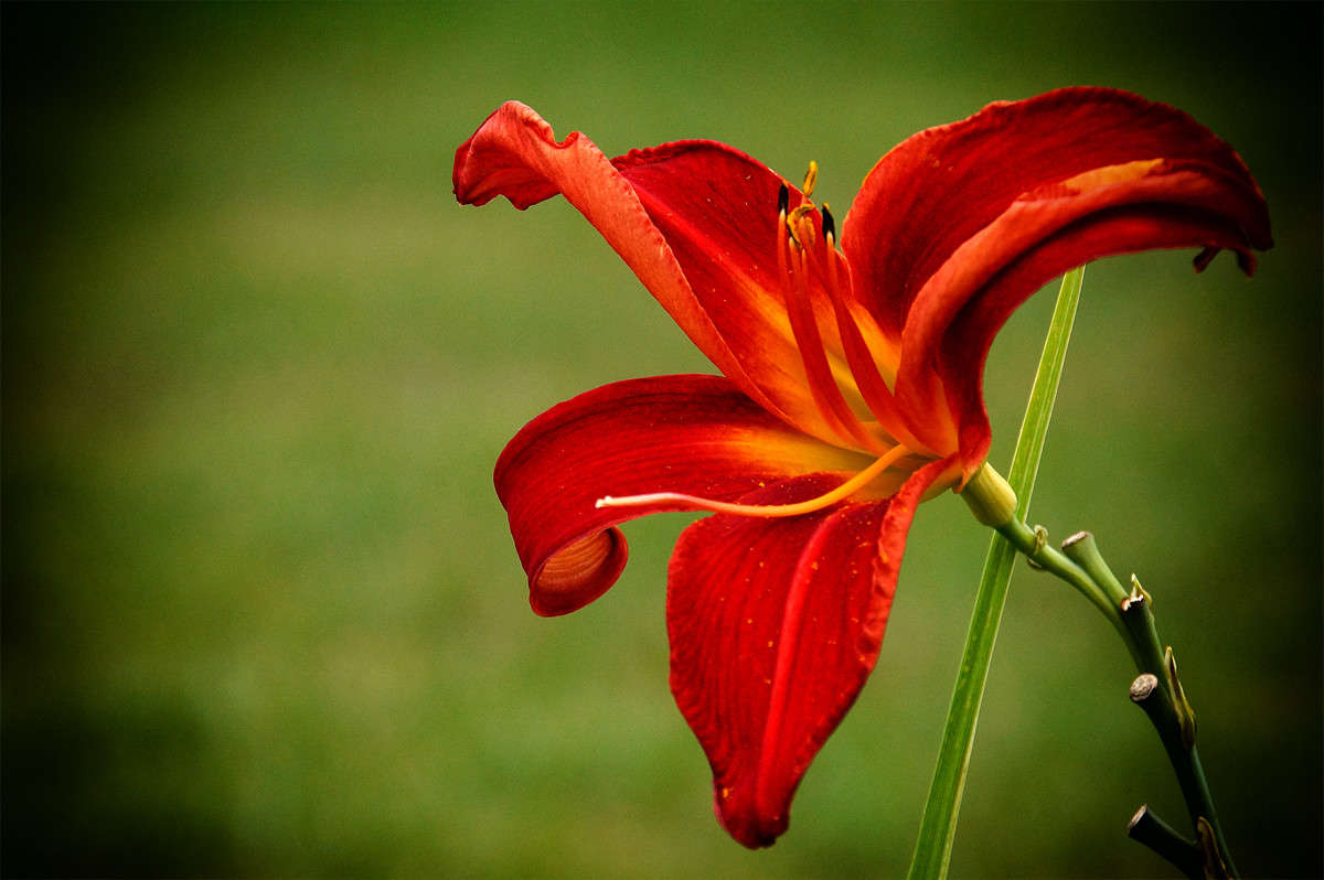 � ����� � ������ ����� �������  �� PhotoGeek.ru #������ ��� �������