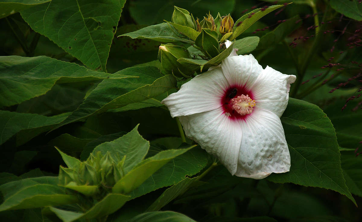 ������ ��, ������... ����� �������  �� PhotoGeek.ru #������ ��� �������