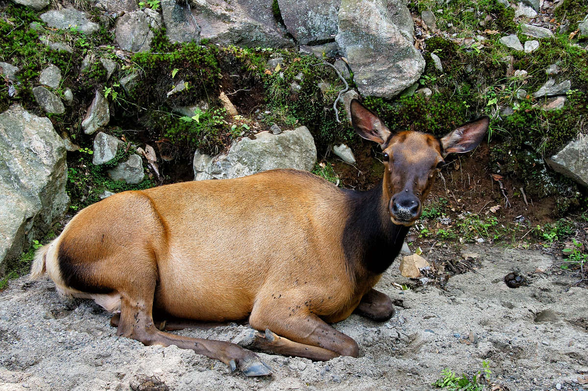 ������� ������� ����� �������  �� PhotoGeek.ru #�������� ���