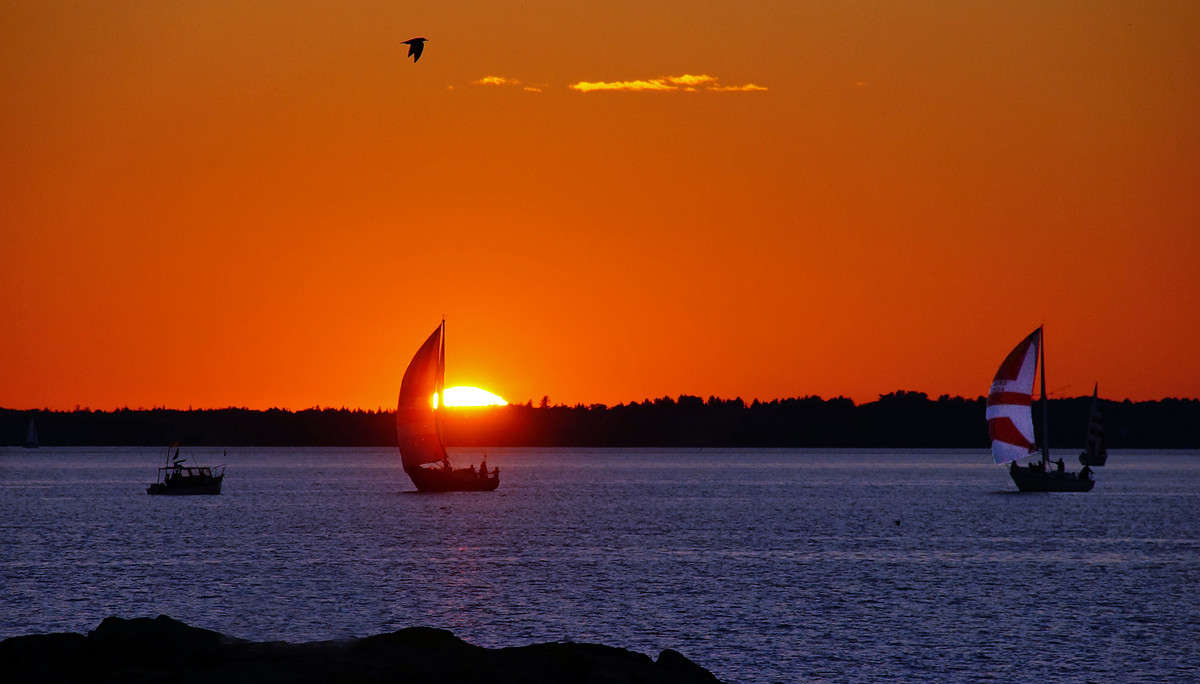 ������ �������� ������ ����� �������  �� PhotoGeek.ru #������ ��� �������