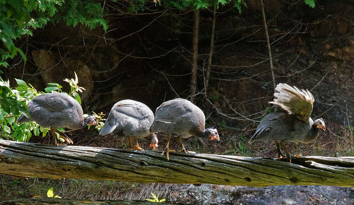 ���� � ������������ ����� �������  �� PhotoGeek.ru #�������� ���