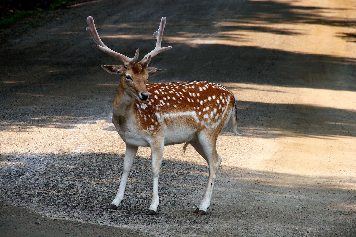 �� ������ ������ ����� �������  �� PhotoGeek.ru #�������� ���