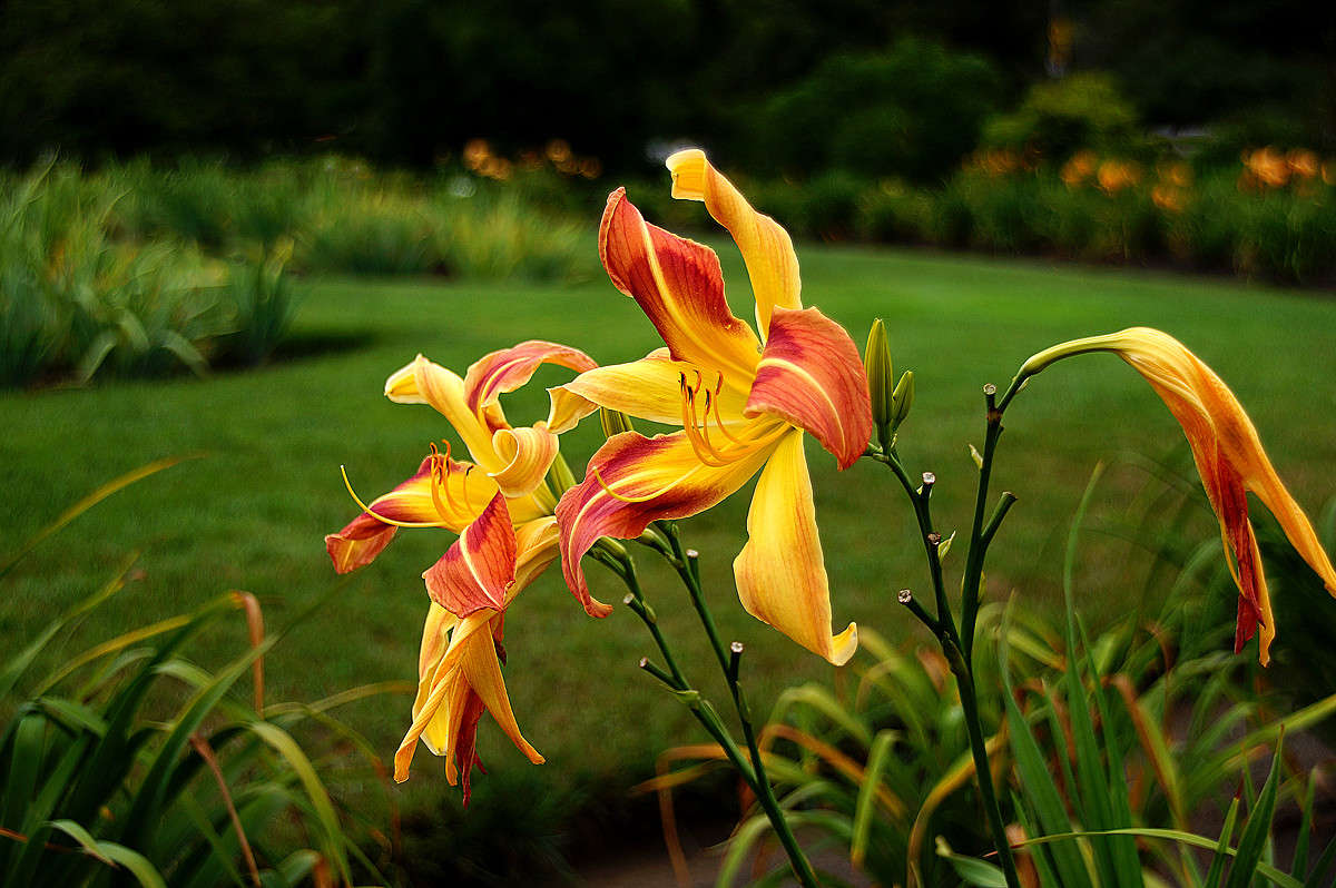 ���������� ����� �������  �� PhotoGeek.ru #������ ��� �������