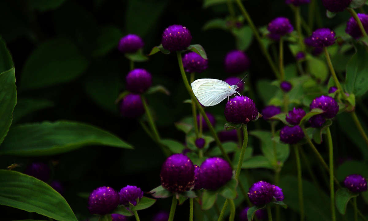 �������� �������� ����� �������  �� PhotoGeek.ru #������ ��� �������