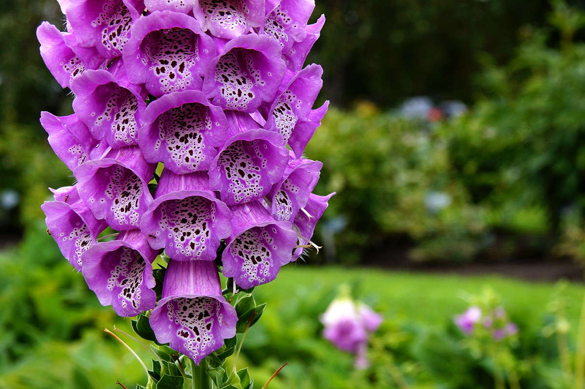 ���� �� ������� ����� �������  �� PhotoGeek.ru #������ ��� �������