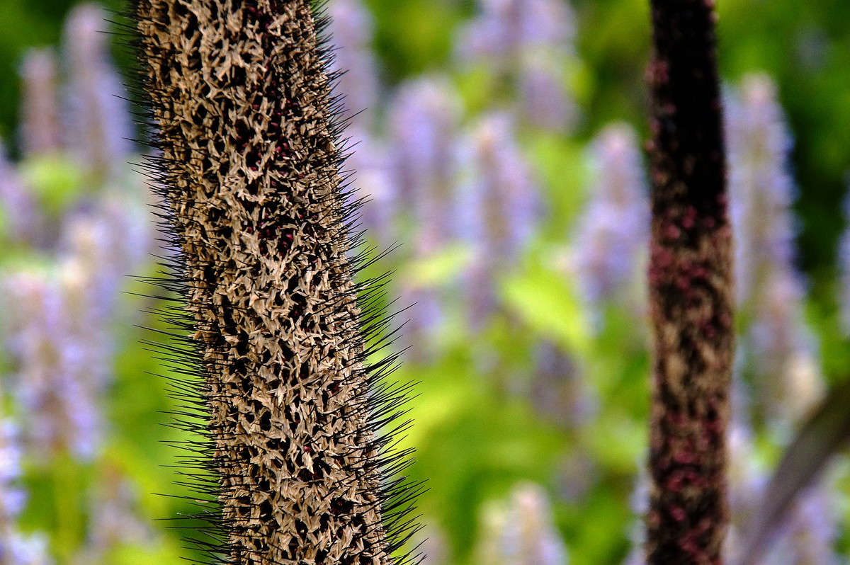 ������ ����� ����� �������  �� PhotoGeek.ru #������ ��� �������