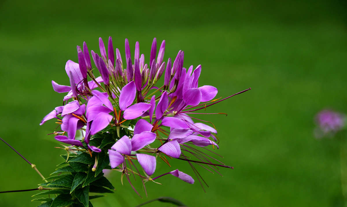 �������� ����� �������  �� PhotoGeek.ru #������ ��� �������