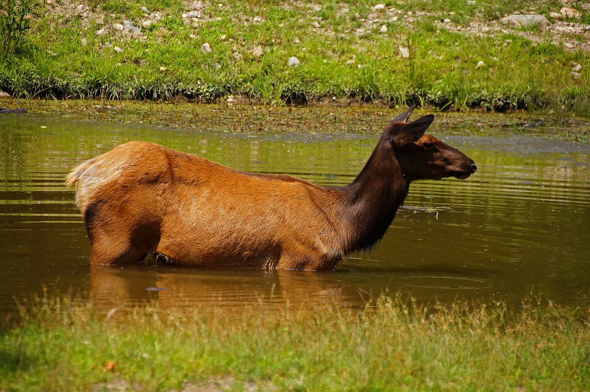 ����� ���� � ���� ���� ����� �������  �� PhotoGeek.ru #�������� ���