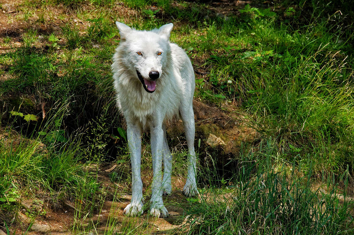 ������ ����� ����� �������  �� PhotoGeek.ru #�������� ���