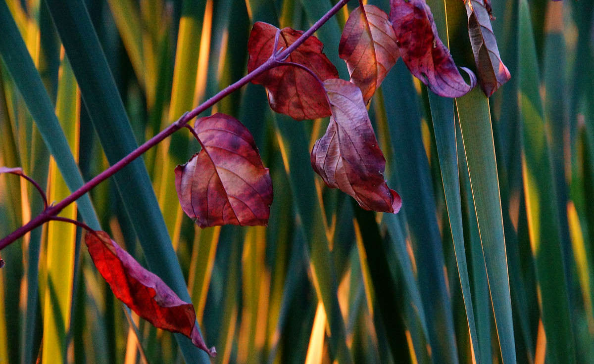 ������ ����� ����� �������  �� PhotoGeek.ru #������ ��� �������