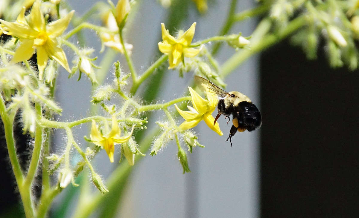 � ���� ����� ����� �������  �� PhotoGeek.ru #�������� ���