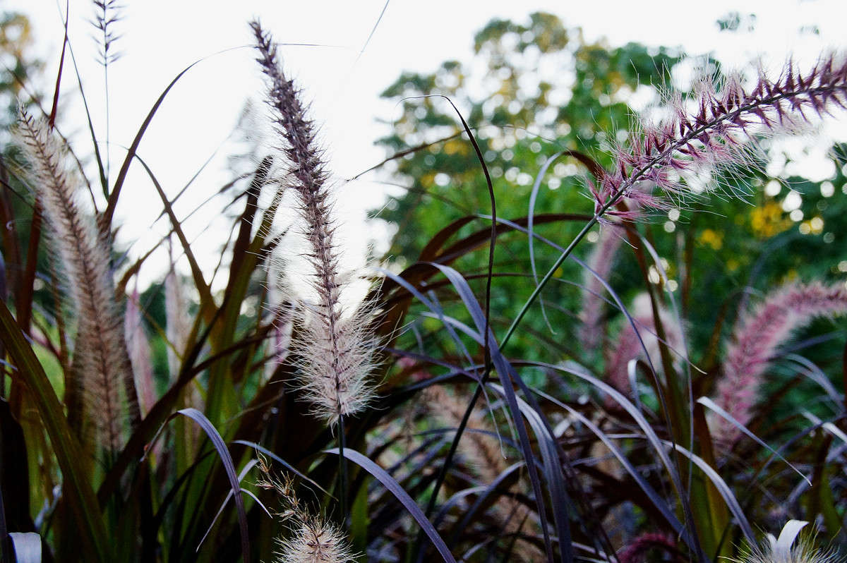 ������� � ���� ����� �������  �� PhotoGeek.ru #������ ��� �������