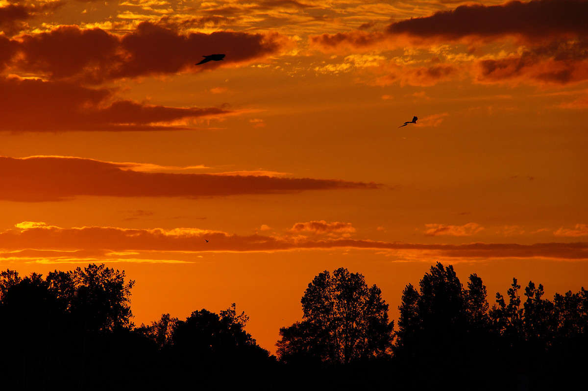 ������ ����� �������  �� PhotoGeek.ru #������ ��� �������