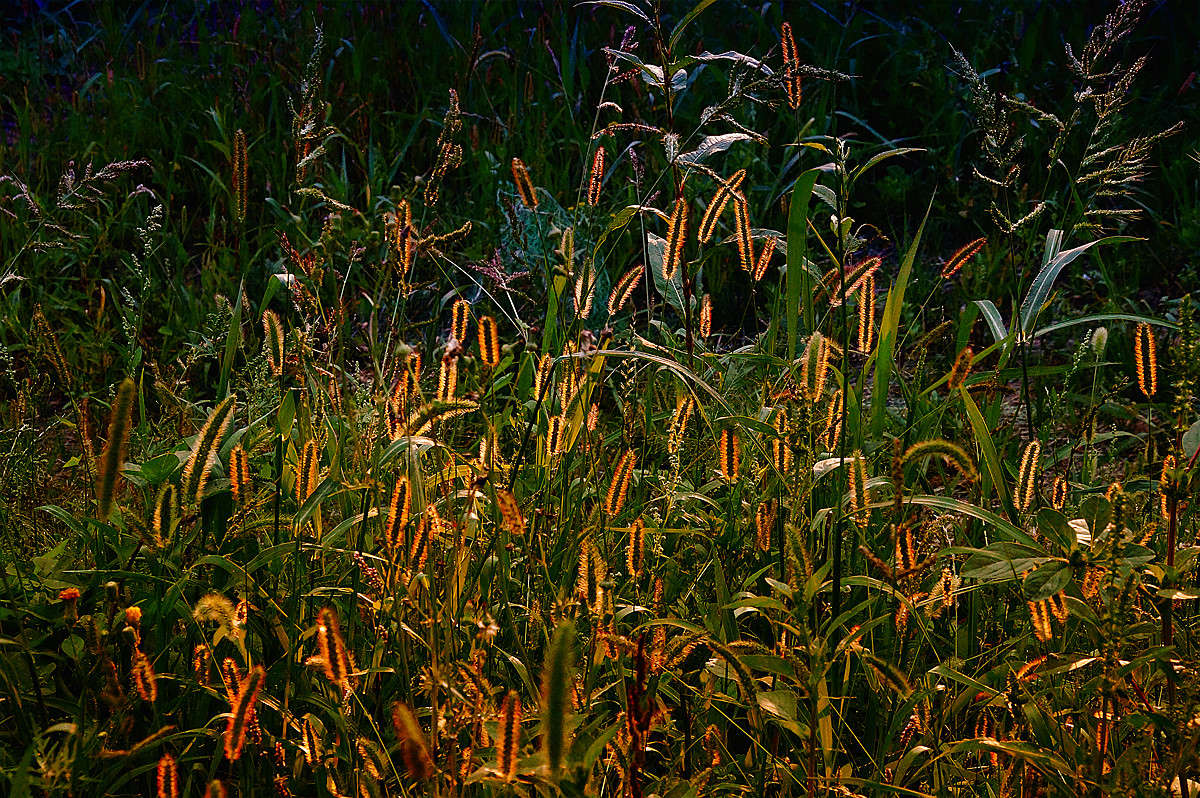 ���������� ����� �������  �� PhotoGeek.ru #������ ��� �������