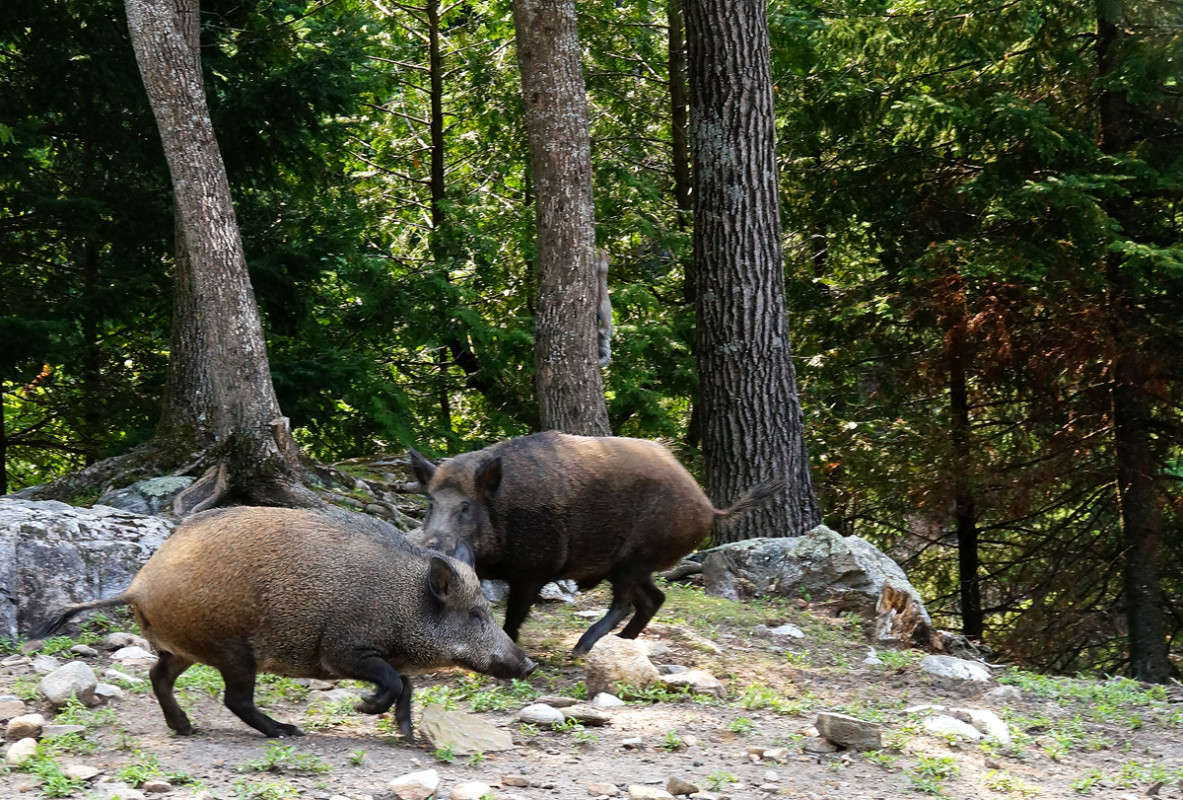 ������� ����� �������  �� PhotoGeek.ru #�������� ���