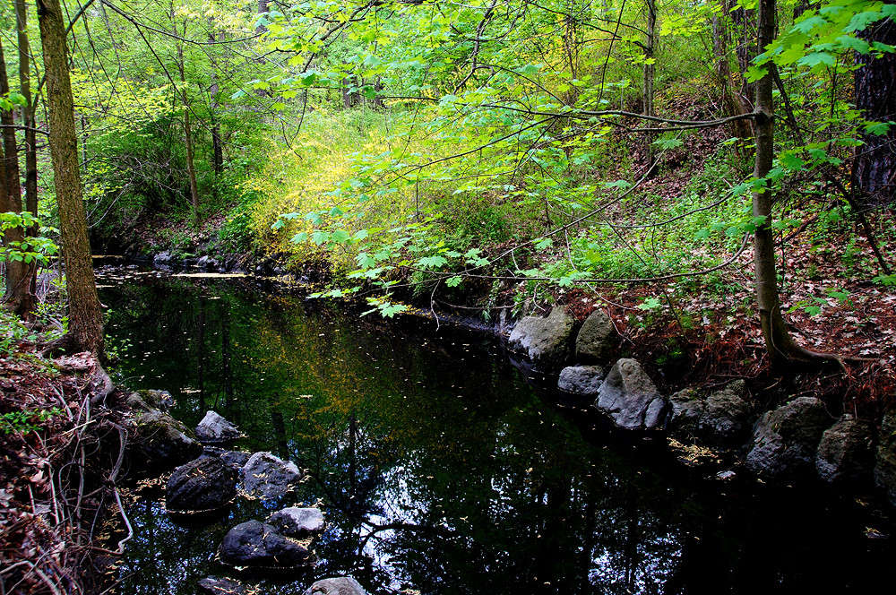 ����� ���� � ������� ����� �������  �� PhotoGeek.ru #������ ��� �������