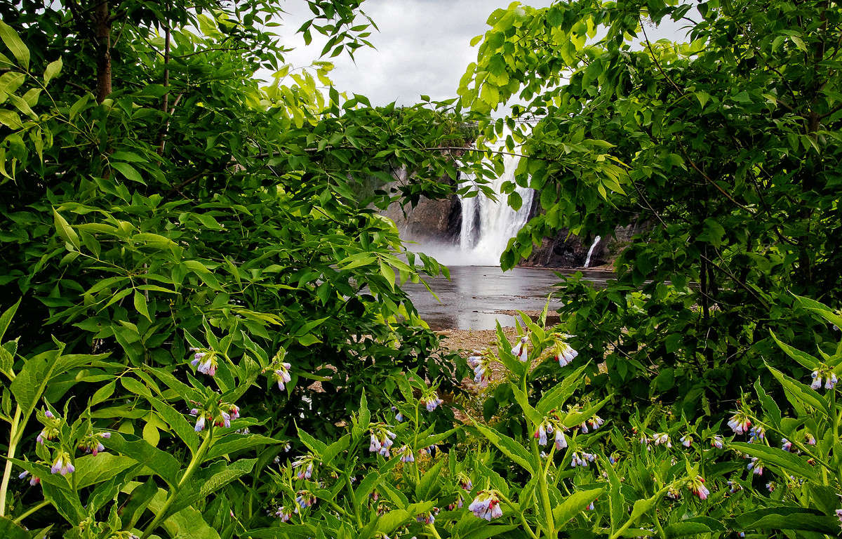 ������ ������� �������� ����� �������  �� PhotoGeek.ru #������ ��� �������