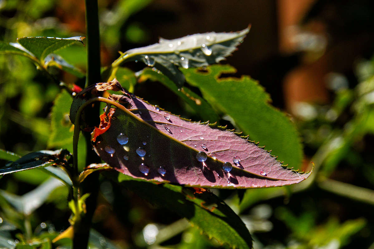 �������� ����� �������  �� PhotoGeek.ru #������ ��� �������