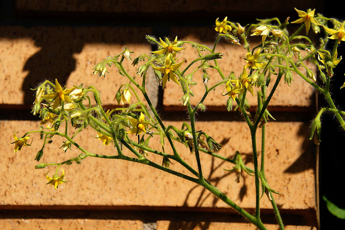 ������������ ������ ����� �������  �� PhotoGeek.ru #������ ��� �������