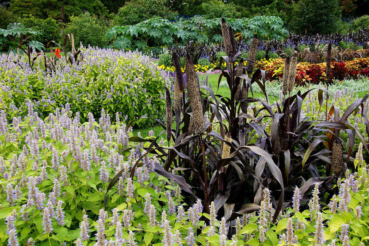 ������������ ����� �������  �� PhotoGeek.ru #������ ��� �������