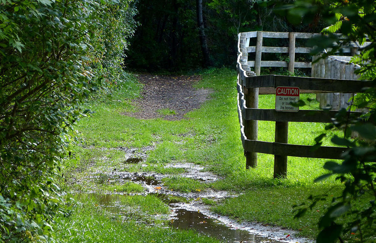 �� ������� �������! ����� �������  �� PhotoGeek.ru #������ ��� ������� #�������� ����������