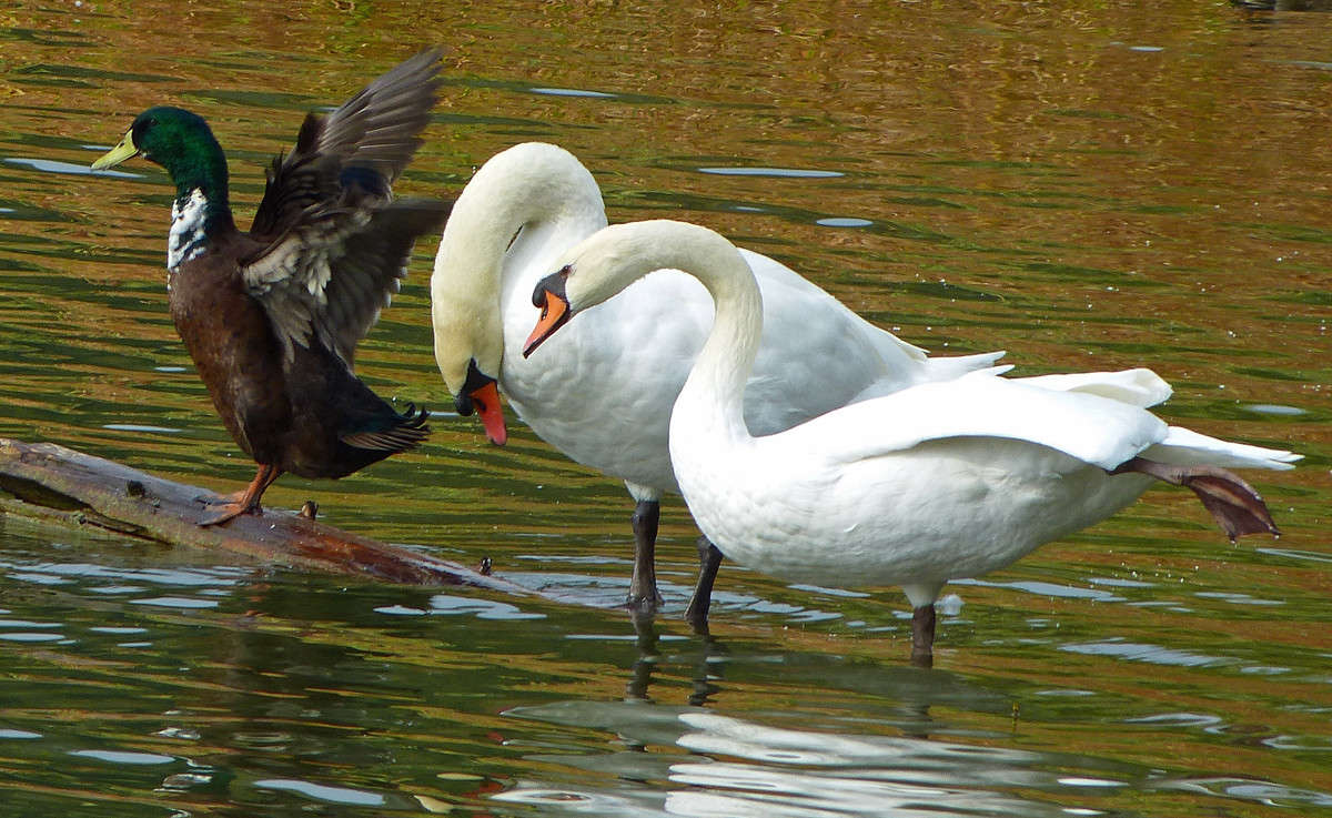 ����� ������! ����� �������  �� PhotoGeek.ru #�������� ���